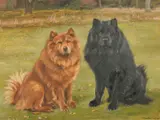 Kong & Ching, 1929' a portrait of two Chinese Dogs by William Luker Jr, oil on canvas, offered Nov 2021