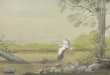 The River Bank by Bryan Conway, watercolour, offered Nov 2021