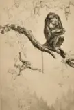 No Monkeying by Leonard Robert Brightwell, etching, sold Nov 2021