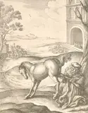 A collection of seven 17th Century engravings from Aesop's Fables by Wenceslaus Hollar, print (other), offered Nov 2021