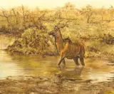 Kudu' in a river by Nick Beresford-Davies, oil on canvas, offered Oct 2021