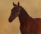 British, Portrait of a horse by Arthur Wardle, 1938, oil on panel, offered Aug 2021