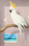 Irish, Blue Lagoon , A yellow crested cockatoo perched on a branch by Brian McCarthy, oil on canvas, offered Aug 2021