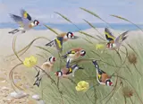 Untitled by Robin Reckitt, 1983, Watercolour, offered Mar 2015