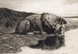 Lion Drinking Signed in the plate Etching 17.5 x 25cm; 7 x 10in (plate size) ++Good condition by Herbert Dicksee, Etching, sold Mar 2015