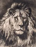 His Royal Highness Signed Etching on buff paper, published by J by Herbert Dicksee, Etching, offered Mar 2015