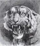 The Tigress (The Mother in Law) Later re-strike of original etching published by C by Herbert Dicksee, etching, sold Mar 2015