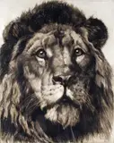 His Majesty Signed in pencil, with blind stamp Etching, published by C by Herbert Dicksee, pencil, sold Mar 2015