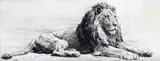 Study of a lion resting Signed in by Herbert Dicksee, Etching, published by Frost & Reed, sold Mar 2015