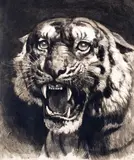 The Tigress (The Mother in Law) Etching, published by C by Herbert Dicksee, Etching, offered Mar 2015
