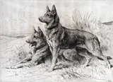 Published by Frost by Herbert Dicksee, Etching, published by Frost & Reed, offered Mar 2015
