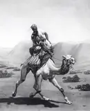 La Poste au Desert With blind-stamp Engraving Published, 1843 55 x 45cm; 21½ x 17¾in (image size) N.B by Horace Vernet, Engraving Published, sold Mar 2015