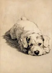 A Sealyham Terrier puppy Signed and numbered 109/150 Etching 15 x 10.5cm; 6 x 4in ++Paper discoloured otherwise good condition by Cecil Charles Windsor Aldin, Etching, sold Mar 2015