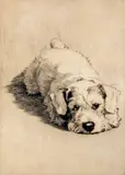 A Sealyham Terrier puppy Signed and numbered 109/150 Etching 15 x 10.5cm; 6 x 4in ++Paper discoloured otherwise good condition by Cecil Charles Windsor Aldin, Etching, sold Mar 2015