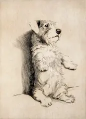 A Sealyham Terrier on her haunches Signed and numbered 109/150 Etching 17.5 x 12.5cm; 7 x 5in ++Paper discoloured otherwise good condition by Cecil Charles Windsor Aldin, Etching, sold Mar 2015
