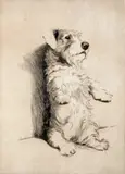 A Sealyham Terrier on her haunches Signed and numbered 109/150 Etching 17.5 x 12.5cm; 7 x 5in ++Paper discoloured otherwise good condition by Cecil Charles Windsor Aldin, Etching, sold Mar 2015