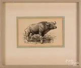 drawing of a water buffalo by Earl Lincoln Poole, ink, sold Aug 2018