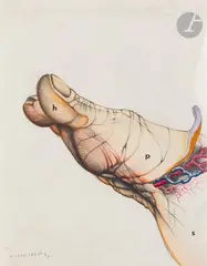 Pied by Michel Lablais, 1971, Mine de plomb et aquarelle, sold Apr 2023