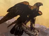 Aigle (c.1929) by Paul Jouve, Épreuve sur papier fort contrecollée sur panneau et rehaussée à la gouache par l'artiste, sold Jun 2013