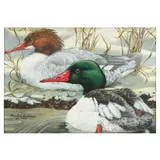 Common Mergansers by Mark Susinno, Watercolor on paper, sold Jun 2023