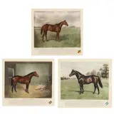 Twenty Grand / Blue Larkspur / Exterminator (Three Works) by Franklin Brooke Voss, Each a hand-colored aquatint, sold May 2023