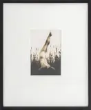 Untitled by Ralph Gibson, 1970, Gelatin Silver Print, sold Jan 2026