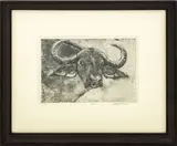 Cape Buffalo by Karla M. Parker, 2004, Etching on Paper, sold Jan 2026
