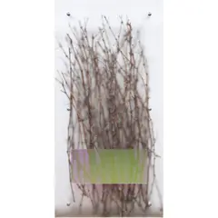Veiled Nature Series by Gordon Huether, acrylic, sold Sep 2024