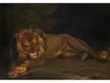 Liegender Löwe by Albrecht Adam, oil on canvas, sold Sep 2023