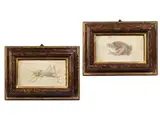 Heuschrecke by Italienischer Miniaturist in Art der, gouache, sold Dec 2020