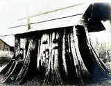 Untitled by Darius Kinsey, Photograph 11"x14" Sheet. Loose, sold Jul 2026