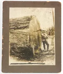 Untitled by Darius Kinsey, Albumen Photograph 14"x11" Image 17"x14" Mounted. Foxing, sold Jul 2026