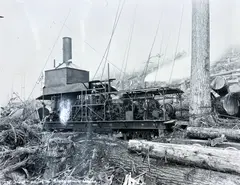 Untitled by Darius Kinsey, Photograph 10.75"x13.5" Sheet. Loose, sold Jul 2026