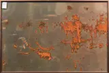 Rusting Drum by Allen Bruce Zee, photograph, sold Oct 2024