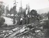 Untitled by Darius Kinsey, Photograph 11"x13.75" Sheet. Loose, sold Jul 2026