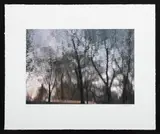 City Park Reflections by Anne Sager, Photograph Digitized Iris Print on Paper, sold Jan 2026