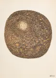 Tondo Etretat by Manfred Schwartz, Lithograph in Colors on Paper, sold Jan 2026