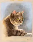 Tabby Cat by Henry Imms, 1981, Pastel on Toned Paper, sold Jan 2026