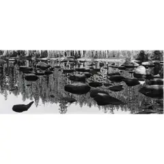 Yosemite by Michael Smith, 1988, gelatin silver print, sold Nov 2024