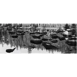 Yosemite by Michael Smith, 1988, gelatin silver print, sold Nov 2024
