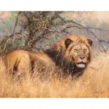 Out of Africa (Lion in the Bush) by Eric Forlee, 2000, oil on canvas, sold Nov 2024