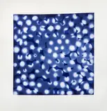 Chaperone by Ross Bleckner, 2002, Etching and Aquatint in Colors, sold Feb 2026