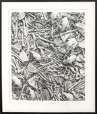 Twelve Cats by Dianne Kornberg, 1992, Gelatin Silver Print, sold Feb 2026
