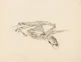 Skeleton 1 Pigeon by Theo Wujcik, Etching on Paper, sold Apr 2026
