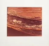 Wood Grain by Anne Sager, Chromogenic Print in Colors, sold Apr 2026