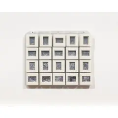 Touching Slides by Marco Maggi, 1999, drypoint on aluminum in slide mounts, sold Feb 2025