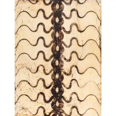 Shake by Ken Kelly, 1993, mixed media on canvas, sold Feb 2025