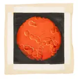 Blood Cells Under a Microscope by Jason Bryant, Oil on Unstretched Canvas, sold May 2026