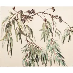 Eucalyptus Branch by Janet Turner, watercolor, sold Mar 2025