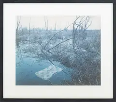 Helena by Alec Soth, 2007, Chromogenic Print in Colors, sold Apr 2026